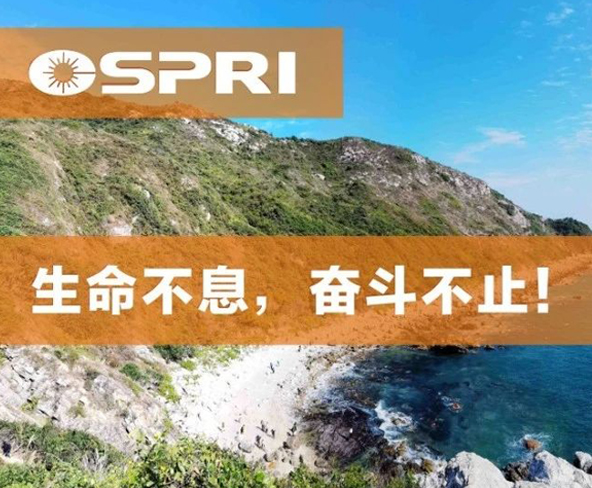 越过山丘 ，才发现最美深圳在等候